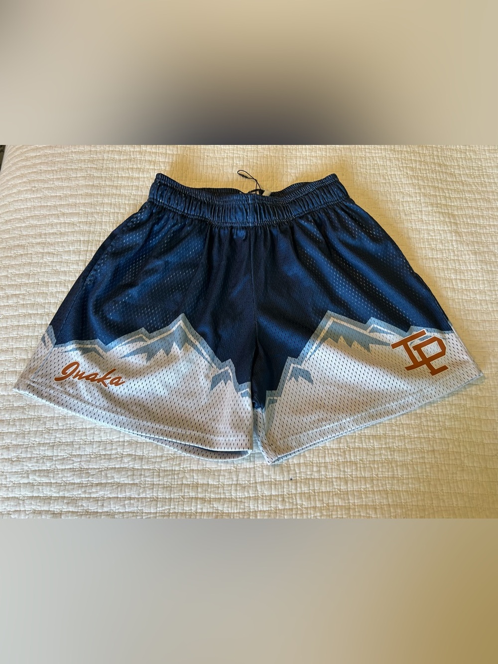 NWOT Inaka Power Graphic Mountains Mesh Shorts Men LG Activewear MMA Drawstring